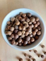 Yeni Bahar Tane 100 gr