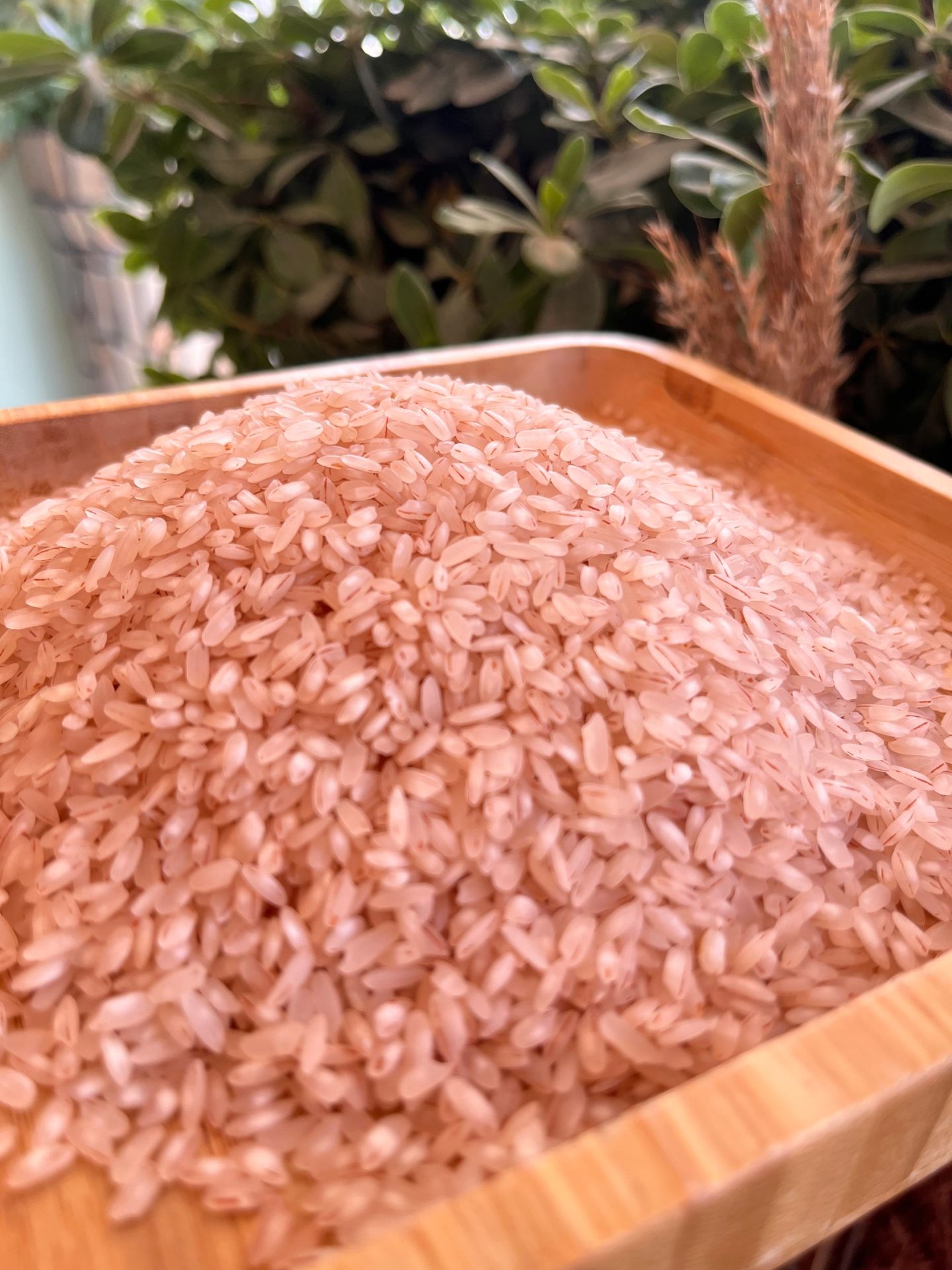 Hatay Derviş Pirinç 500 Gr