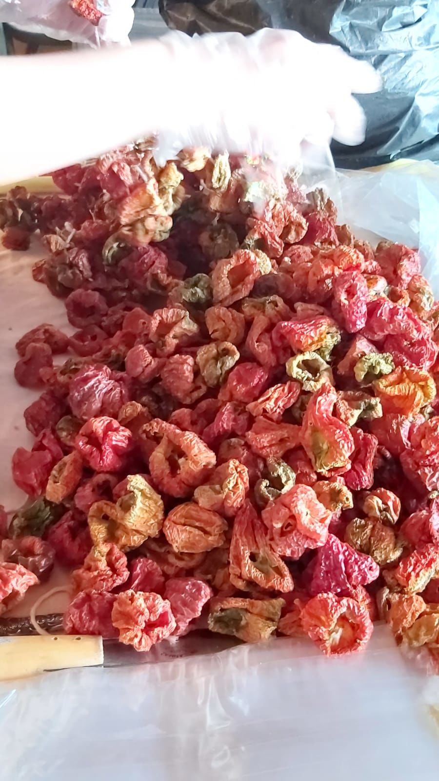 Hatay Kurutulmuş Dolmalık Tatlı Biber (25 Adet)