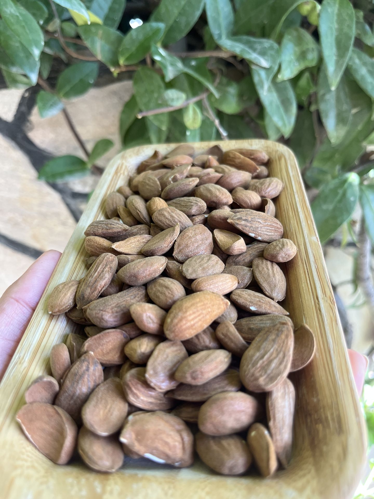 Hatay Yerli Doğal Badem İçi 500 gr