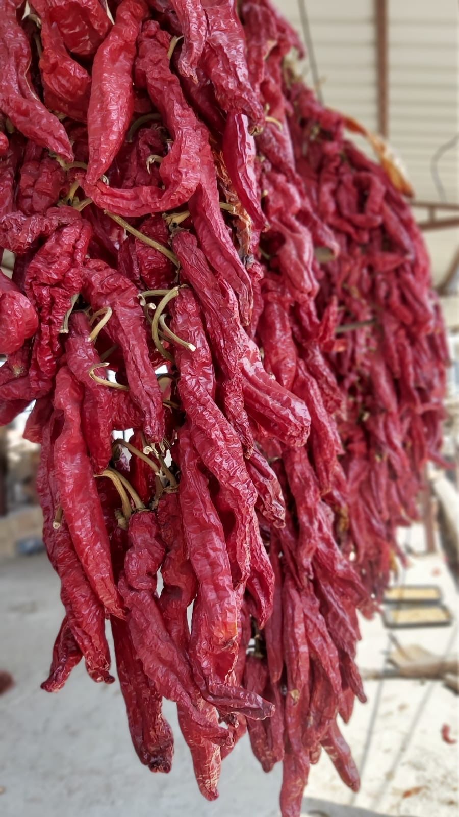 Hatay Kurutulmuş Baş Biber 100 Gr