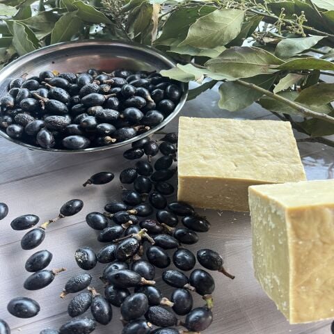 Hatay Defne Sabunu 1 KG