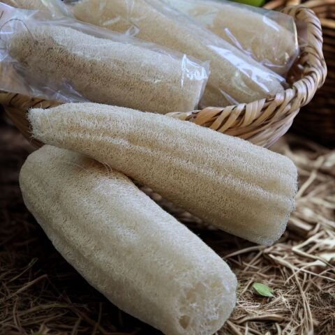 Hatay Doğal Kabak Lifi- Banyo  1 Adet