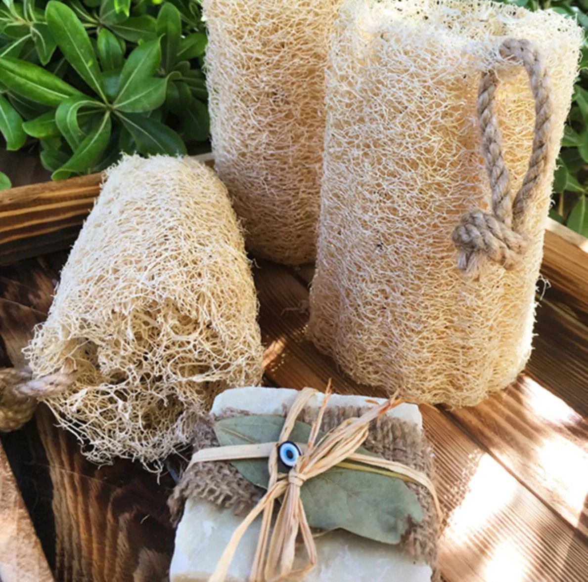 Hatay Doğal Kabak Lifi- Banyo  1 Adet