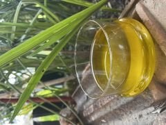 Hatay Yöresel Zeytinyağı 1 LT