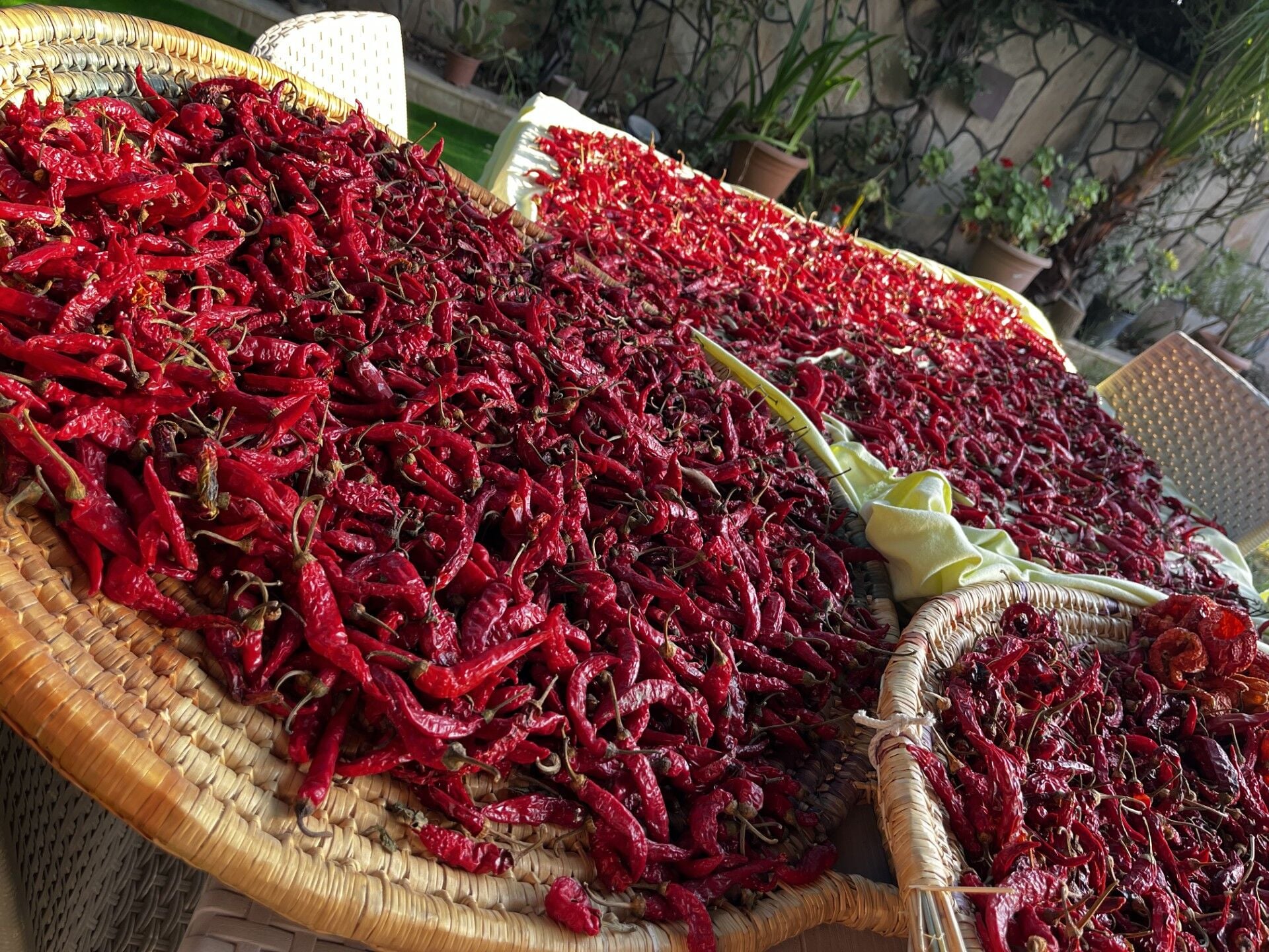 Hatay Kuru Süs Biberi - Atom 50 gt