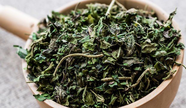 Isırgan Otu 100 Gr
