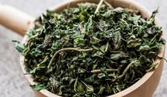 Isırgan Otu 100 Gr