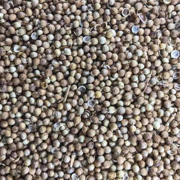 Tane Çekilmemiş Kişniş-Kuzbara 100 Gr