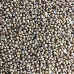 Tane Çekilmemiş Kişniş-Kuzbara 100 Gr