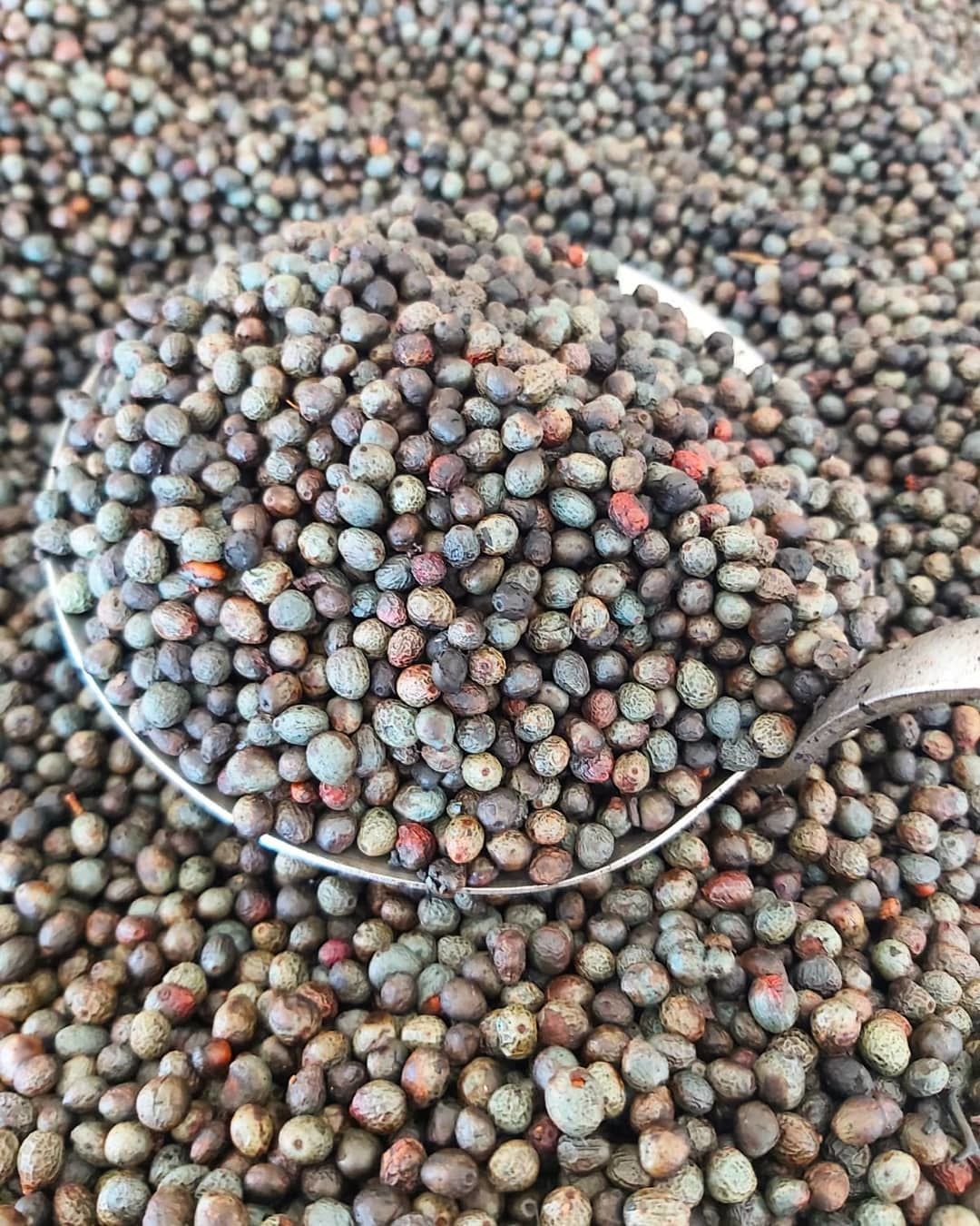 Hatay Kavrulmuş Menengiç 250 gr