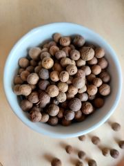 Yeni Bahar Tane 100 gr