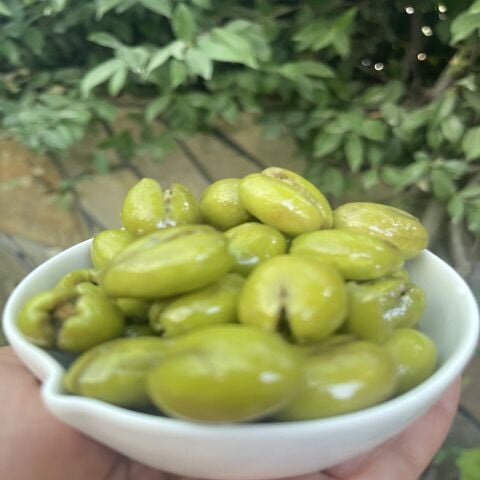 Hatay Yeşil Kırma Zeytin 420 gr