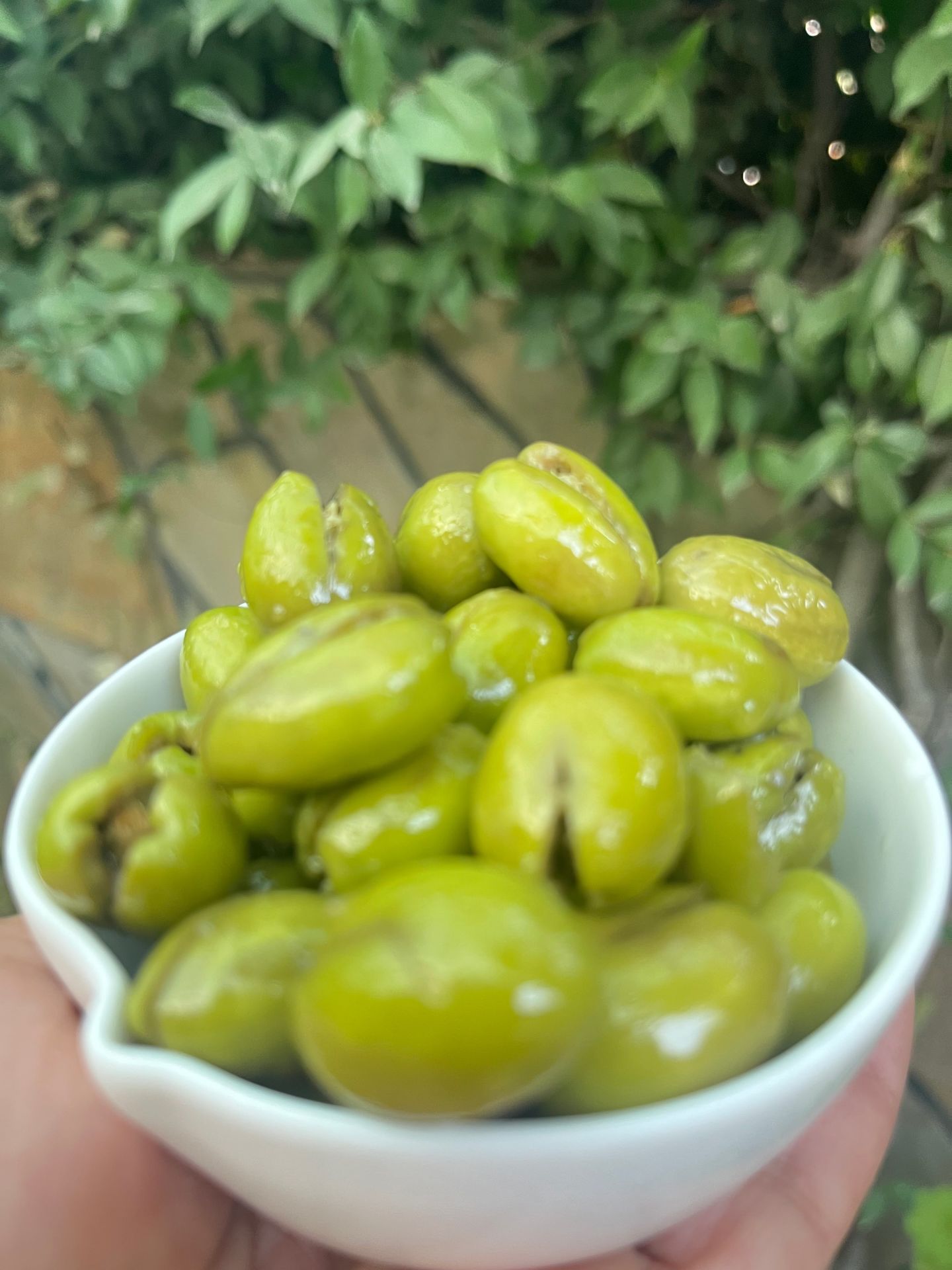 Hatay Yeşil Kırma Zeytin 420 gr