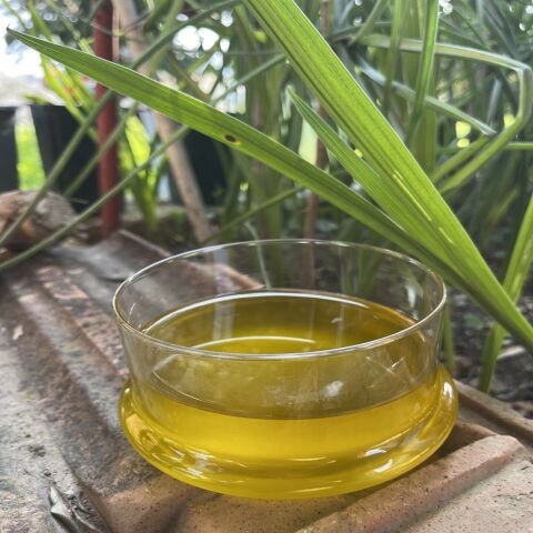 Hatay Natürel Birinci Zeytinyağı 500 ml